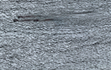 IMB_j6WvqS.gif