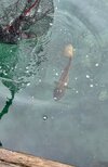 IMG_1276.jpeg