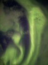 IMG_1333.jpeg