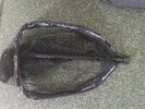 IMG_20260910_120432.jpg