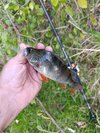 IMG_20260910_180400.jpg