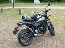 IMG_20260911_075708.jpg