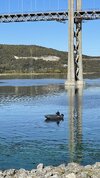 IMG_5181.jpeg
