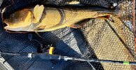 IMG_1436.jpeg