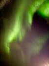IMG_1518.jpeg IMG_1518.jpeg