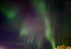 IMG_1545.jpeg IMG_1545.jpeg
