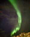IMG_1532.jpeg IMG_1532.jpeg