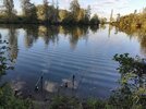 IMG_20260911_185604.jpg