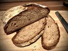 IMG_9248.jpeg