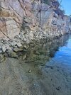 1000146438.jpeg