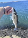 IMG_0004.jpeg