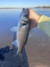 IMG_9959.jpeg