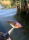 IMG_9765.jpeg