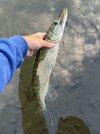 IMG_9709.jpeg
