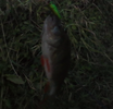 vlcsnap-2026-09-13-09h46m51s193.png