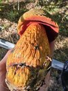 20260905_175930.jpg