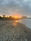 IMG_9304.jpeg