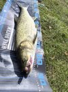 IMG_20260914_124545.jpg
