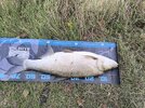 IMG_20260914_111818.jpg