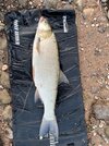 IMG_5210.jpeg