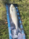 IMG_20260915_084059.jpg