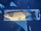 IMG_3425.JPG