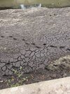 IMG_3044.jpeg