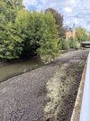 IMG_3045.jpeg