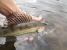 IMG_20260917_145043.jpg