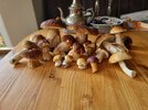 20260918_173946.jpg 20260918_173946.jpg