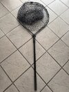 IMG_0590.jpeg
