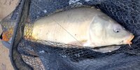 IMG_20260902_084248.jpg