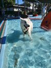 IMG-20260919-WA0001.jpg