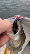 PXL_20260829_062138484.MP.jpg