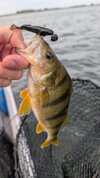 PXL_20260828_131422611.MP.jpg