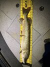 IMG_2878.jpeg