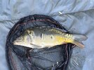 IMG_1033.jpeg