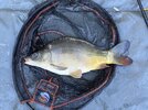 IMG_1036.jpeg