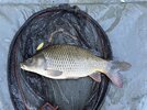 IMG_1038.jpeg
