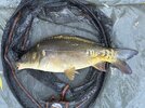 IMG_1046.jpeg