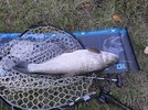 IMG_20260922_063843.jpg