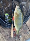 IMG_3748.jpeg