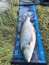 IMG_20260923_082845.jpg