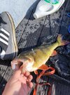 IMG_20260923_152417.jpg
