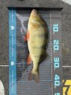 IMG_0161.jpeg