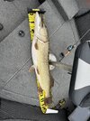 IMG_7617.jpeg