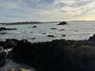 IMG_1922.jpeg