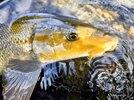 IMG_20260926_153436~6.jpg
