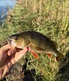 IMG_0700.jpeg
