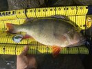IMG_9401.jpeg